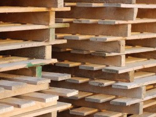 Palés y envases de madera