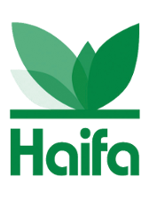 Haifa